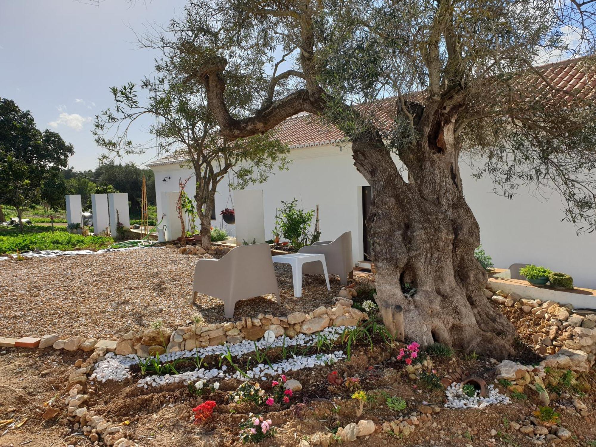 Monte Das Acoteias - Agroturismo Ταβίρα Εξωτερικό φωτογραφία